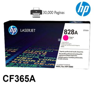 Tambor Hp CF365A 828A Magenta